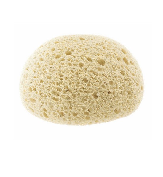 Chicco Ultra Absorbent Sponge