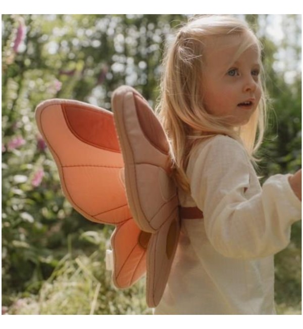 Set Ali E Bacchetta Fatina - Little Dutch