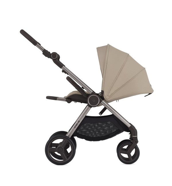 Duo Passeggino Anex IQ