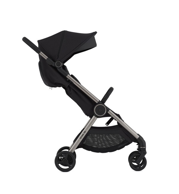 Duo Passeggino Anex IQ