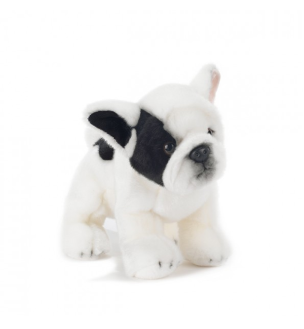 Peluche Francky de Bulldog Plush & Company