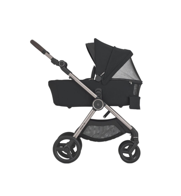 Duo Passeggino Anex IQ