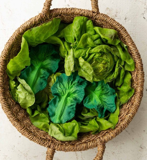 KENDALL lettuce gum massage - Oli & Carol