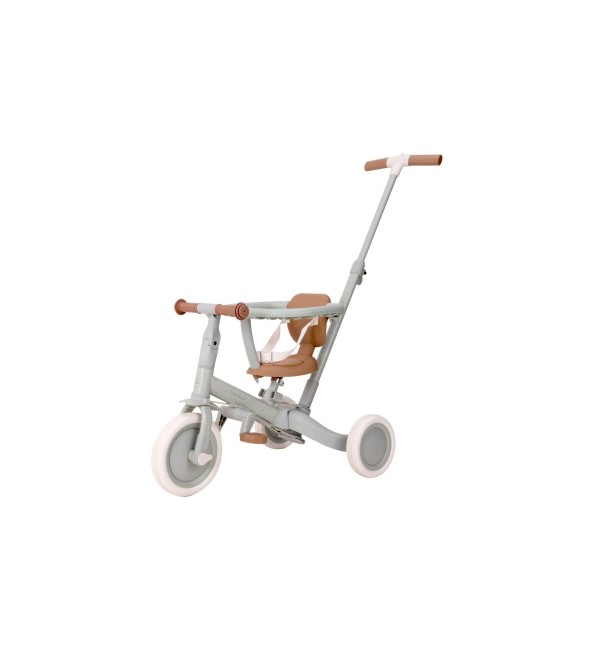 Tricycle Little Dutch 4 in 1