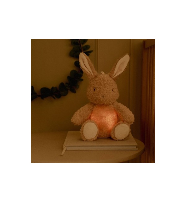 Little Dutch Bunny Night Light