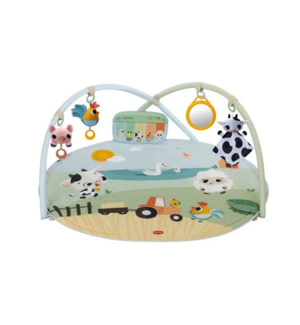 Palestrina Tiny Love Dynamic Gymini Farmers