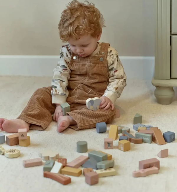 Little Dutch Forest Friends Building Cubes