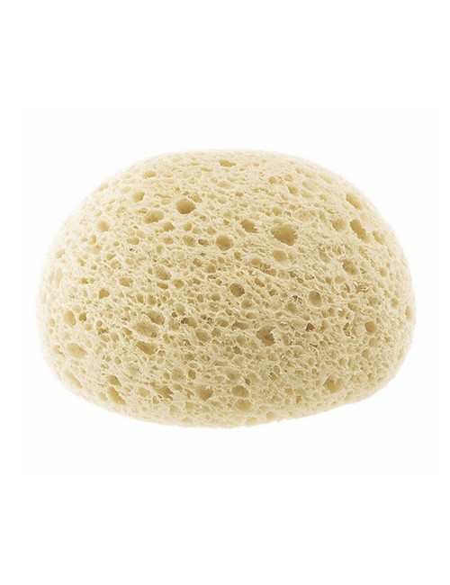 Chicco Ultra Absorbent Sponge