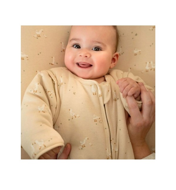 Winterschlafsack Little Dutch Little Goose