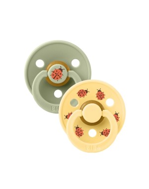 Set Of 2 Pacifiers Bibs Studio Collection