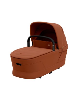 Trio Maxi-Cosi Fame Cabin con Coral Slide Pro