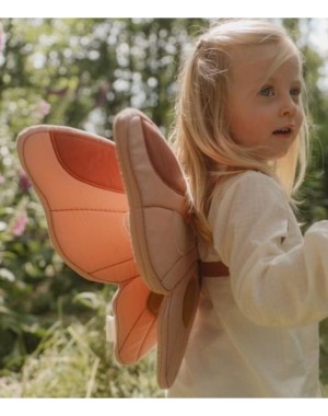 Set Ali E Bacchetta Fatina - Little Dutch