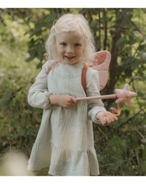 Set Ali E Bacchetta Fatina - Little Dutch