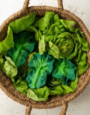 KENDALL lettuce gum massage - Oli & Carol