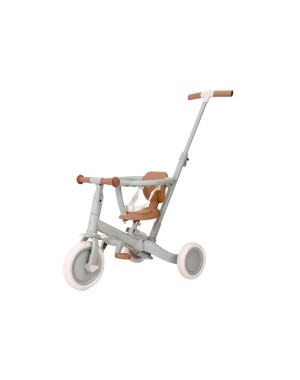 Tricycle Little Dutch 4 in 1