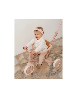 Tricycle Little Dutch 4 en 1