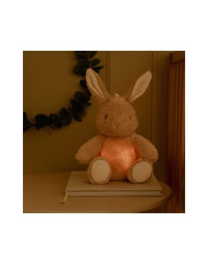 Little Dutch Bunny Night Light