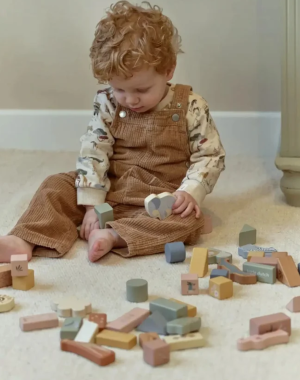 Little Dutch Forest Friends Building Cubes